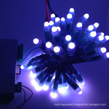 Christmas Waterproof LED Strip Light for Decorative Lighting